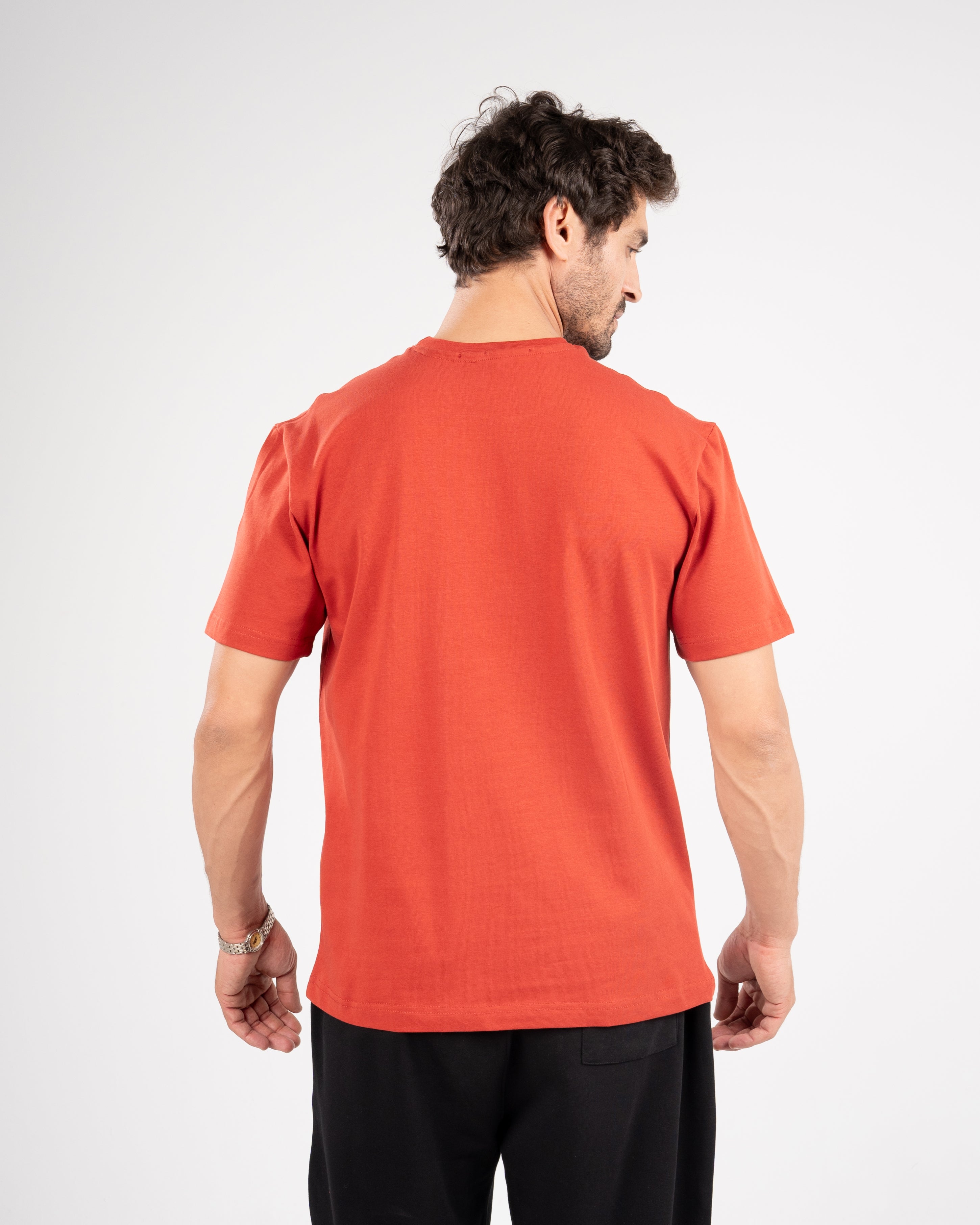 Classic Fit Taupe T-Shirt